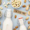 lactosa-free